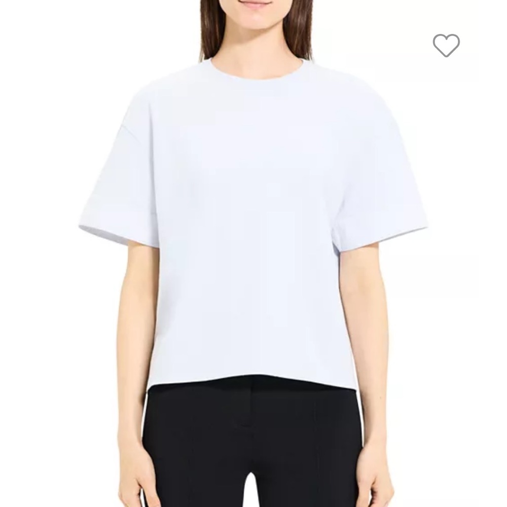 Theory  Top